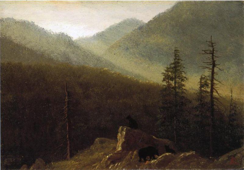 Albert Bierstadt Bears in the Wilderness oil painting picture